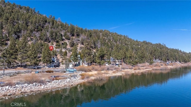 property view of water with a view of trees