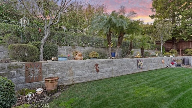 view of yard at dusk