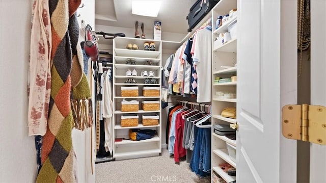 walk in closet with carpet flooring