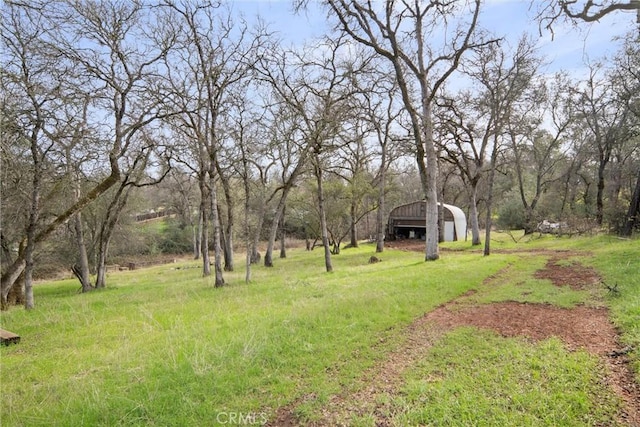 view of yard featuring an outbuilding