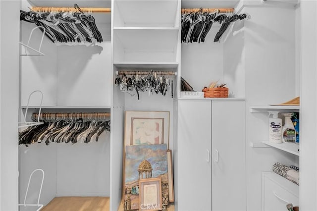 view of spacious closet
