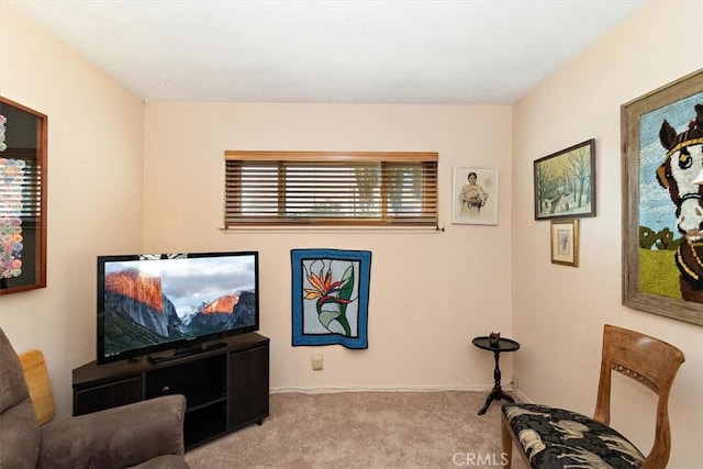 living area with light carpet