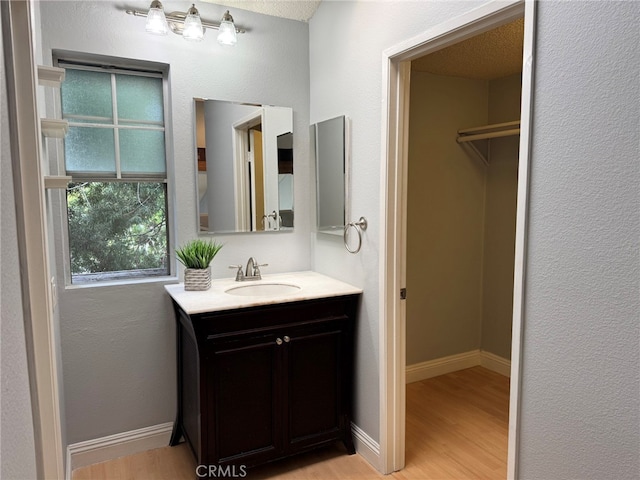 bathroom featuring hardwood / wood-style flooring and vanity