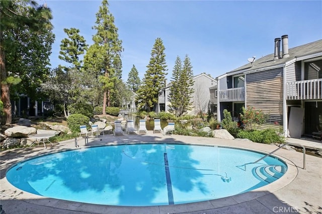 view of pool featuring a patio