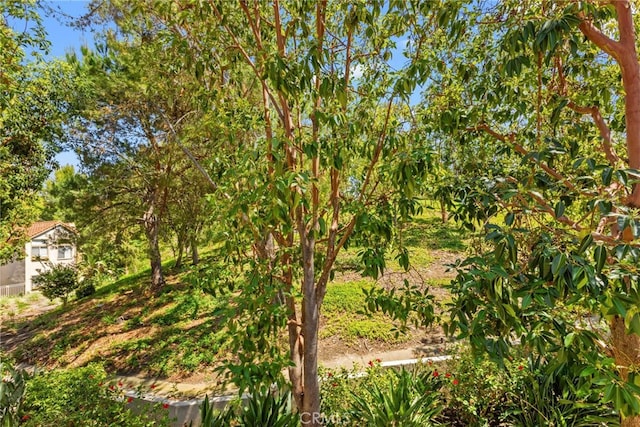 6 Daytona Dr Unit 128, Laguna Niguel, CA 92677 - view of local wilderness