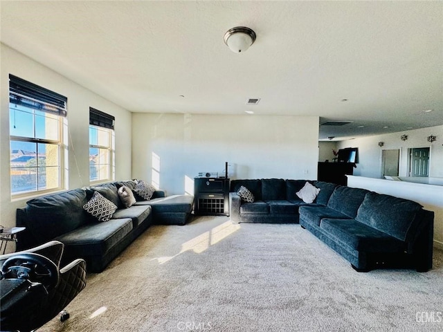826 Jacob Creek Dr, Bakersfield, CA 93314 - view of carpeted living room