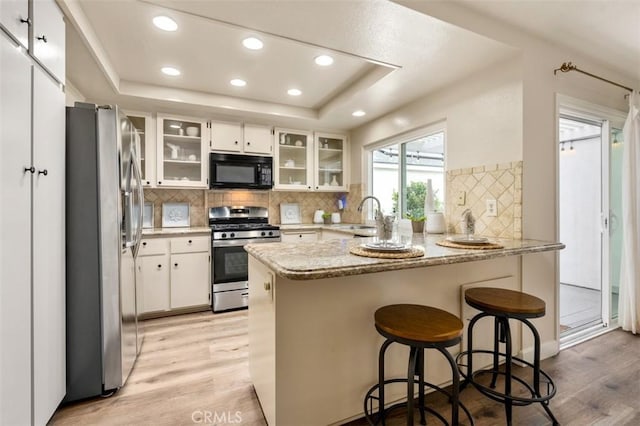 kitchen featuring a sink, a peninsula, a tray ceiling, and stainless steel appliances