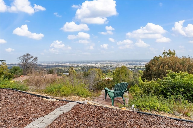 view of home's community