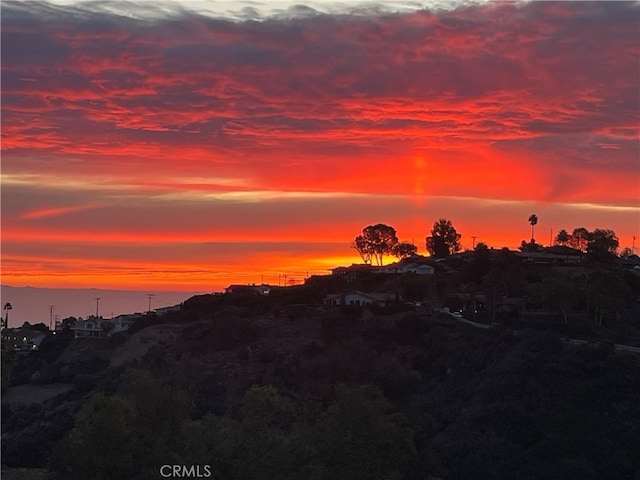 view of nature at dusk