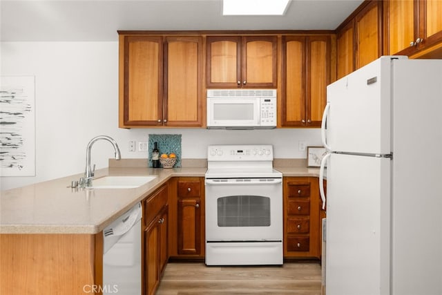 kitchen featuring sink, white appliances, and light hardwood / wood-style flooring