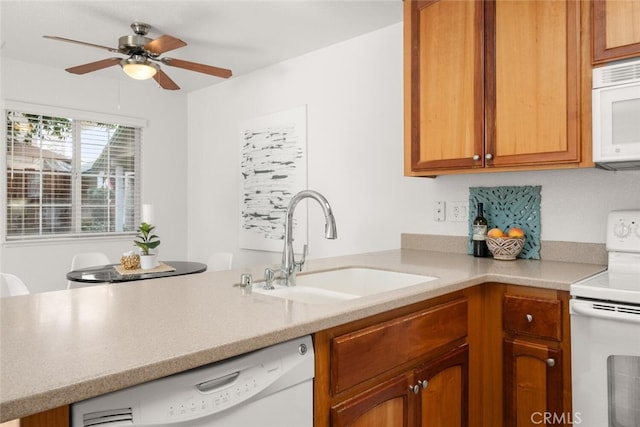 kitchen with sink, white appliances, kitchen peninsula, and ceiling fan