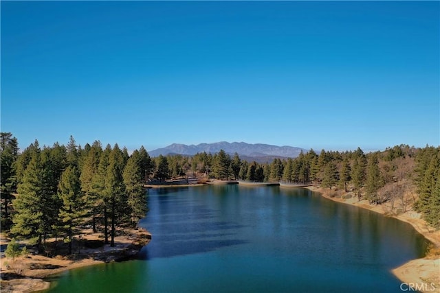 view of water feature with a wooded view and a mountain view