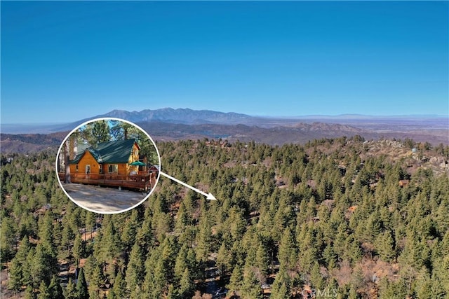 birds eye view of property featuring a forest view and a mountain view