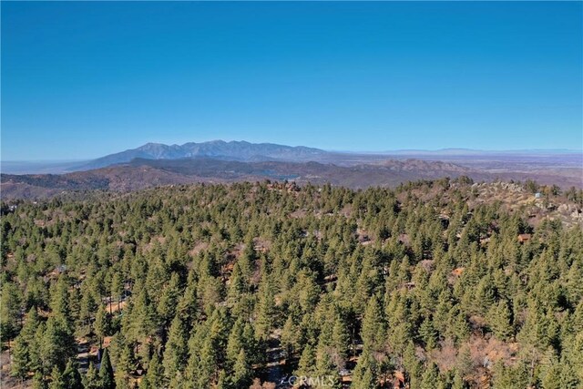 property view of mountains with a forest view