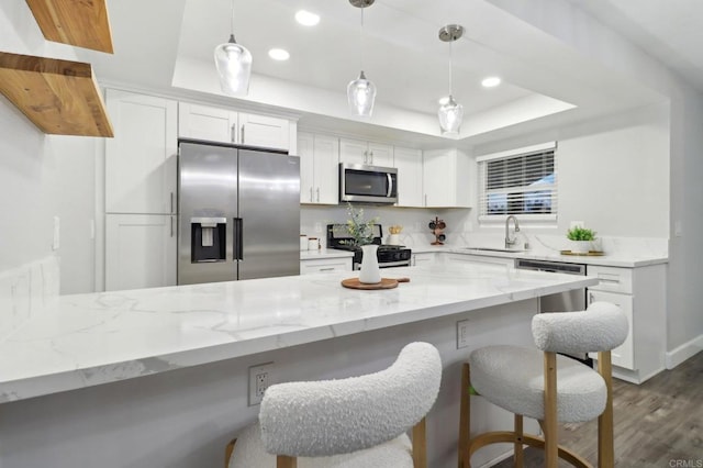 kitchen with white cabinets, a tray ceiling, stainless steel appliances, and hanging light fixtures