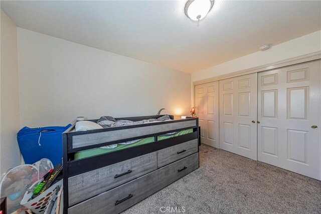 36763 Venado Dr, Coarsegold, CA 93614 - bedroom with carpet floors and a closet