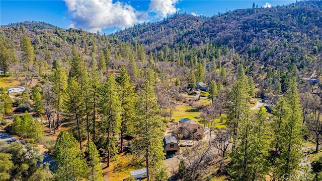 36763 Venado Dr, Coarsegold, CA 93614 - drone / aerial view of a mountainous background