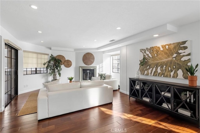 living room featuring dark hardwood / wood-style floors