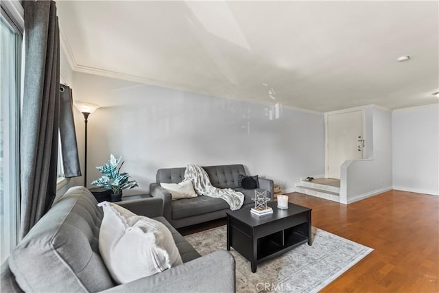 living room featuring crown molding and hardwood / wood-style floors