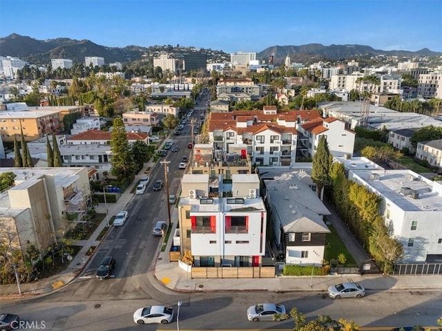 1304 N Mansfield Ave, Los Angeles, CA 90028 - photo 52
