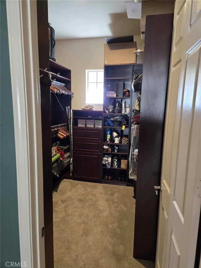 walk in closet featuring light colored carpet