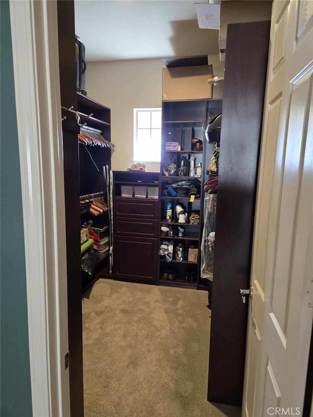 80644 Camino, San Gregorio, Indio, CA 92203 - photo 42