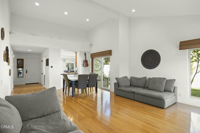 living room featuring high vaulted ceiling and light hardwood / wood-style floors