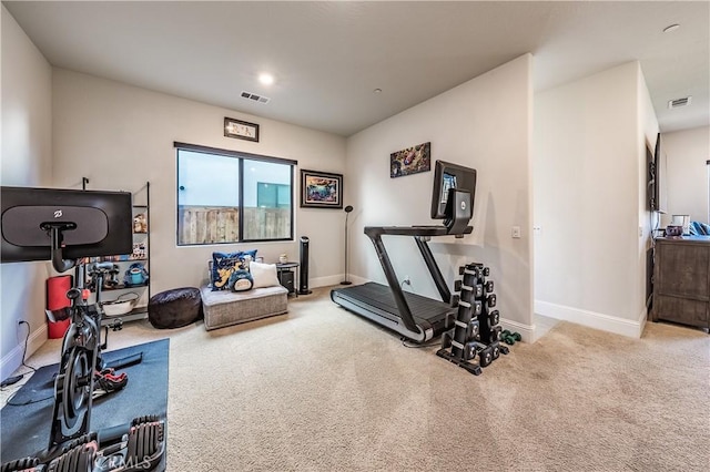 exercise area with carpet floors