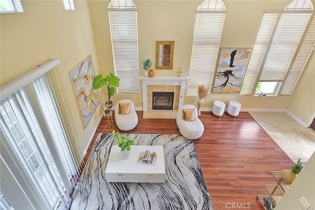 living room featuring wood-type flooring