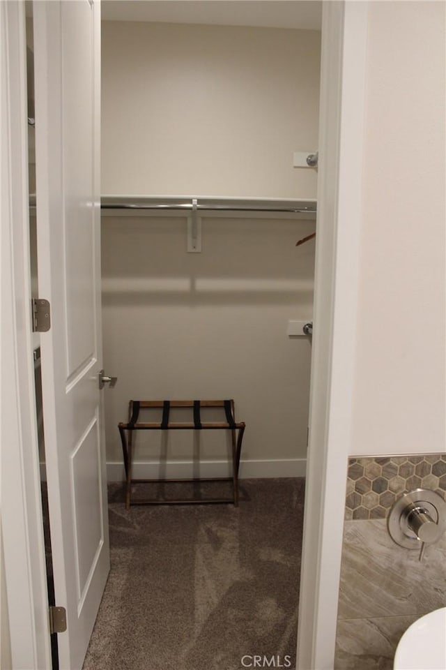 view of closet
