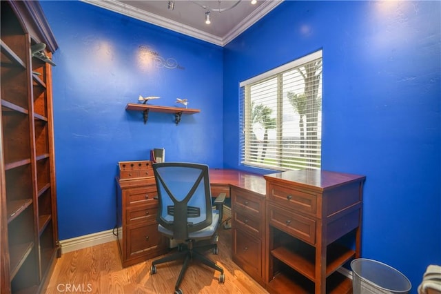 office featuring ornamental molding and light hardwood / wood-style flooring