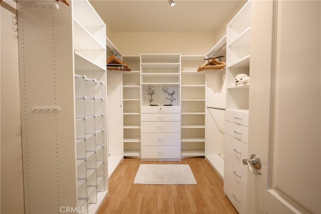 spacious closet with light hardwood / wood-style floors