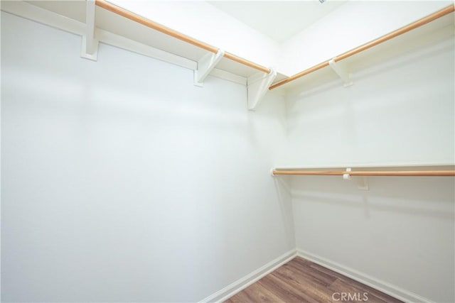 spacious closet featuring hardwood / wood-style flooring