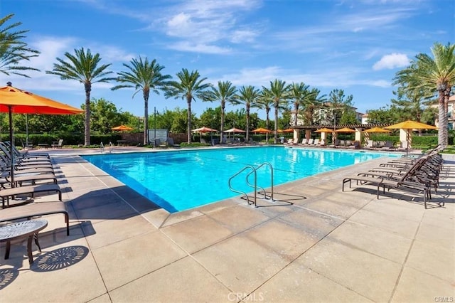 view of pool with a patio