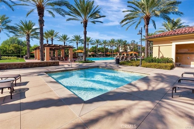 view of pool featuring a patio