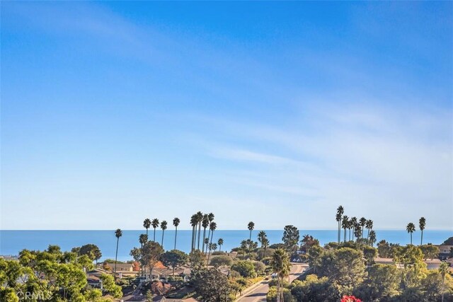 31232 Palma Dr, Laguna Niguel, CA 92677 - water view
