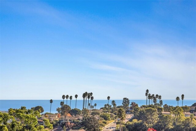 31232 Palma Dr, Laguna Niguel, CA 92677 - water view