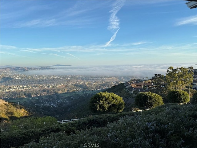 31232 Palma Dr, Laguna Niguel, CA 92677 - mountain view