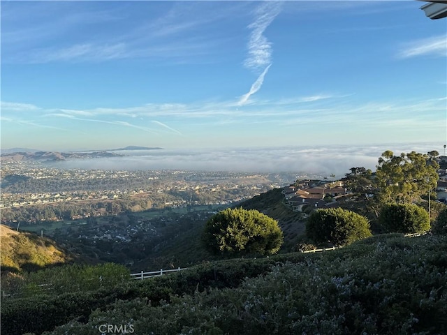 31232 Palma Dr, Laguna Niguel, CA 92677 - view of mountain background
