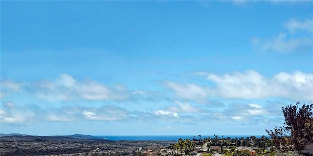 31232 Palma Dr, Laguna Niguel, CA 92677 - water view