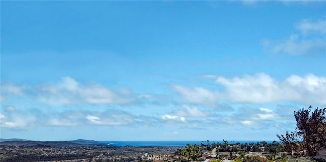 31232 Palma Dr, Laguna Niguel, CA 92677 - water view