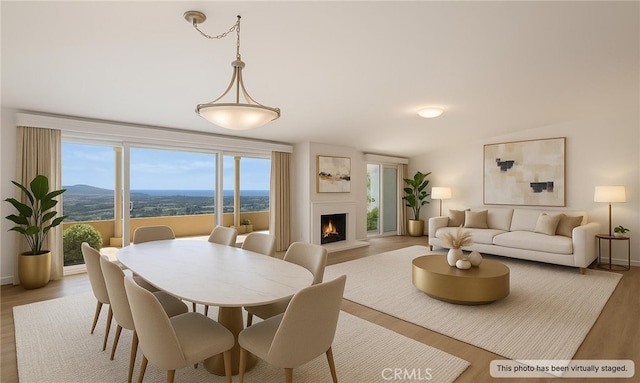 31232 Palma Dr, Laguna Niguel, CA 92677 - dining room with wood finished floors, a lit fireplace, and baseboards