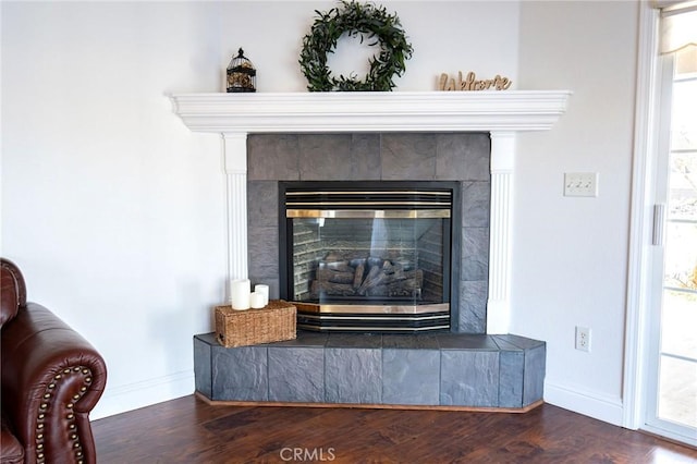 room details featuring hardwood / wood-style floors and a fireplace