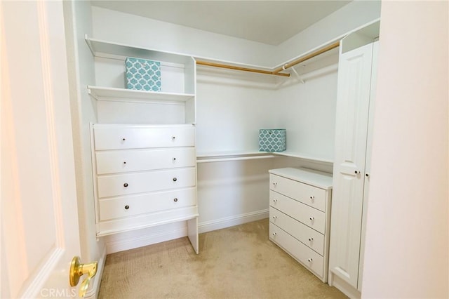 walk in closet with light carpet