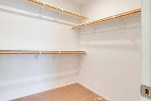 walk in closet featuring light colored carpet