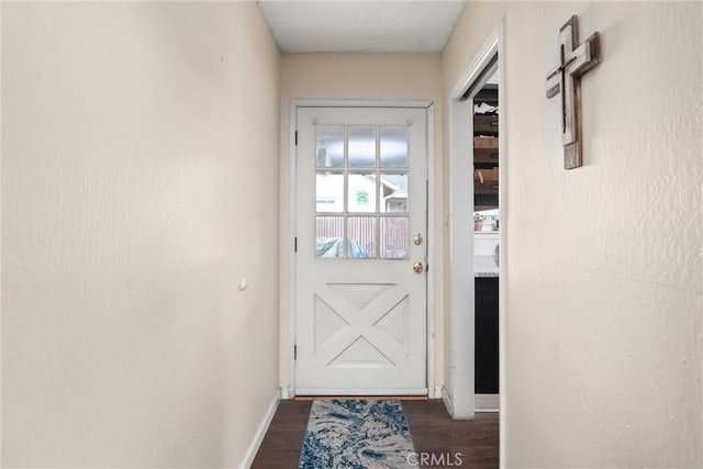 doorway featuring dark wood-type flooring