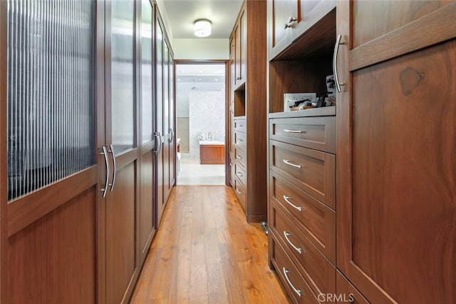 walk in closet featuring light hardwood / wood-style floors