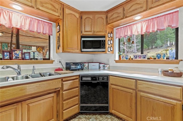 kitchen featuring sink and black dishwasher