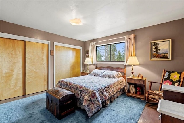 bedroom with two closets and carpet