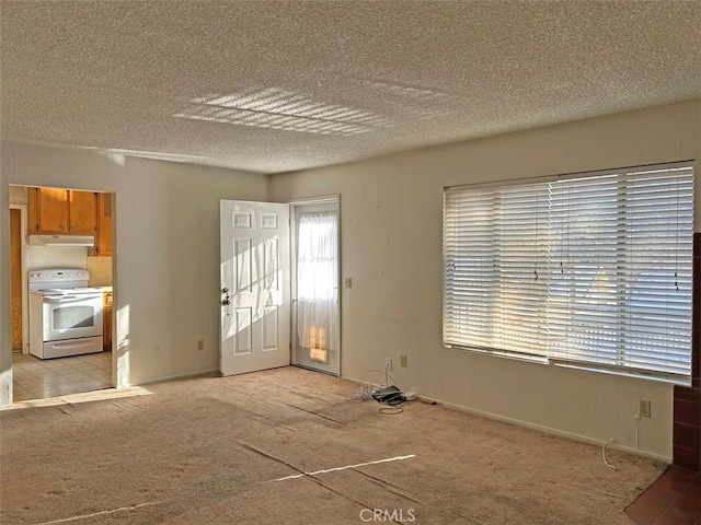 interior space featuring light colored carpet and a textured ceiling